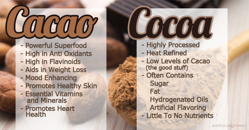 Cacao-Vs-Cocoa
